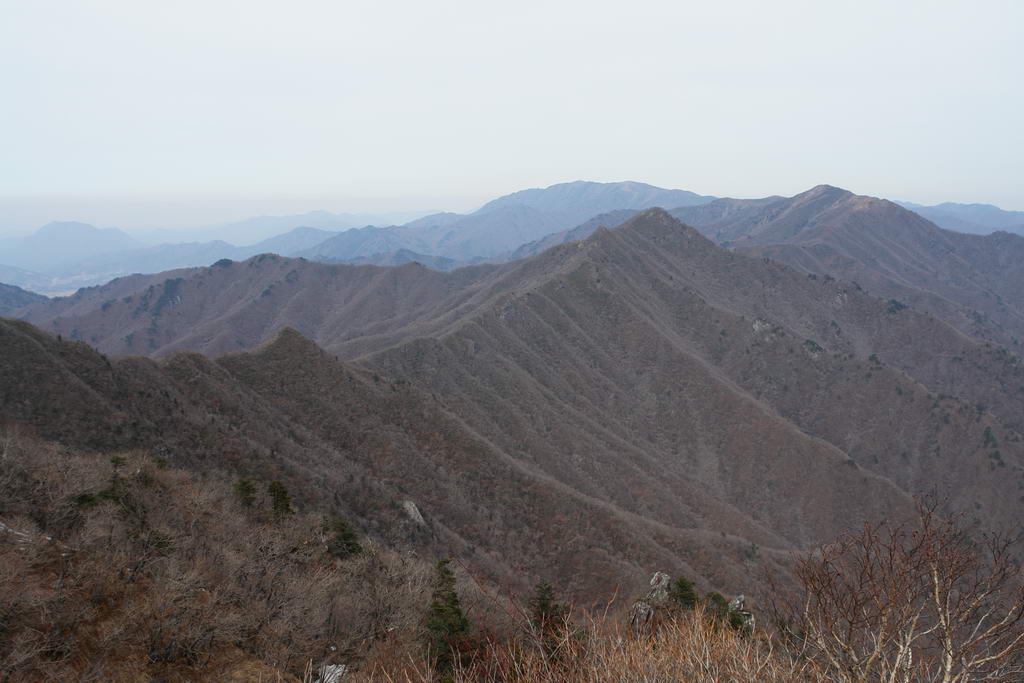 deogwoo-04.JPG