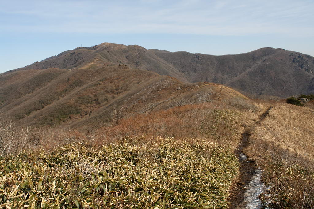 deogwoo-11.JPG