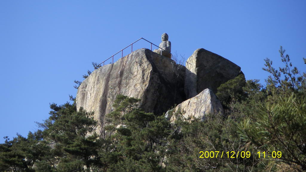 S73F2565.jpg