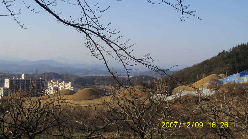 S73F2641.jpg