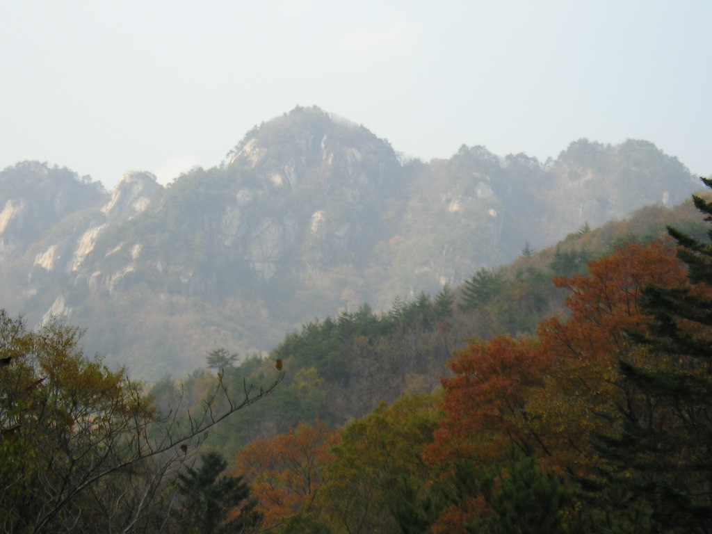 ./files/attach/images/160/2036/photo28011mtn.jpg