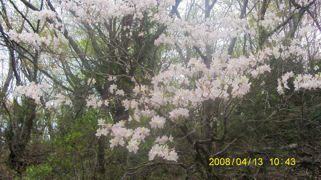 S73F4420.jpg