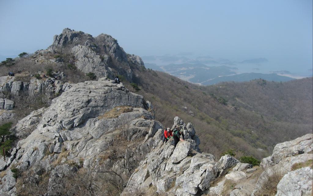 IMG_8387_1.jpg