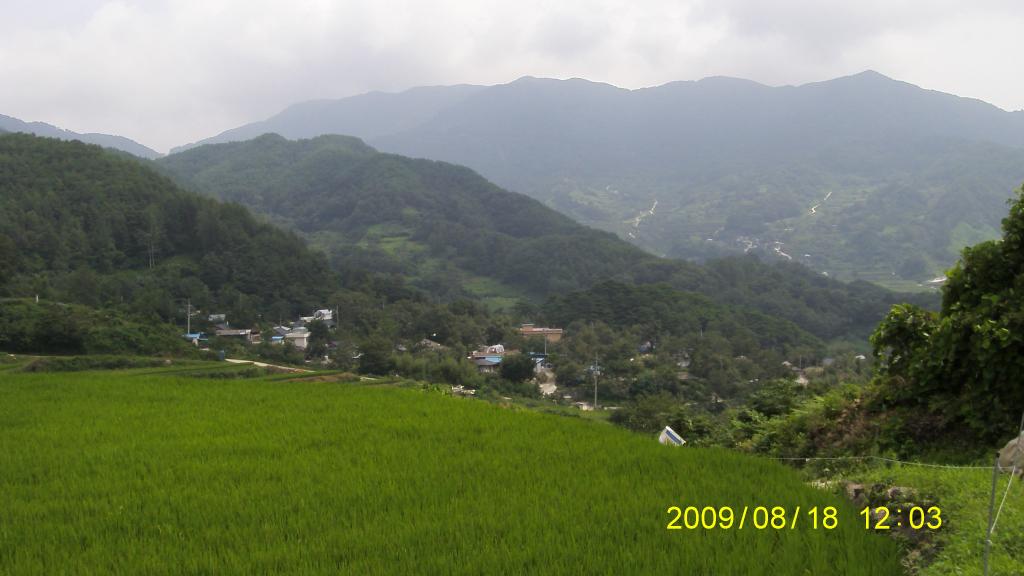S73F5849.JPG