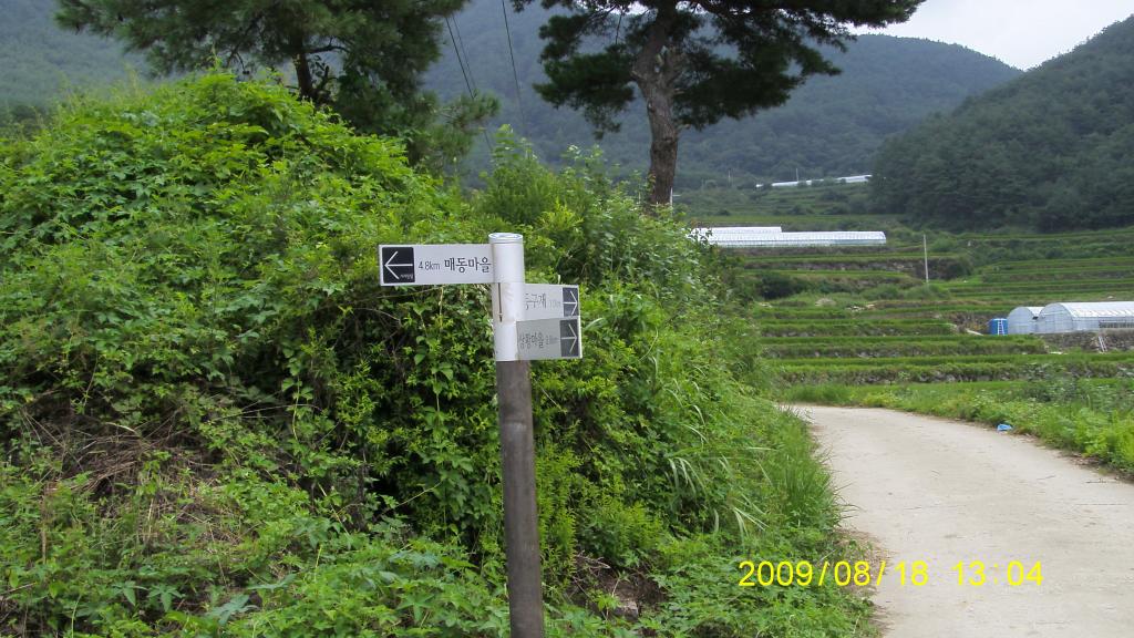 S73F5854.JPG