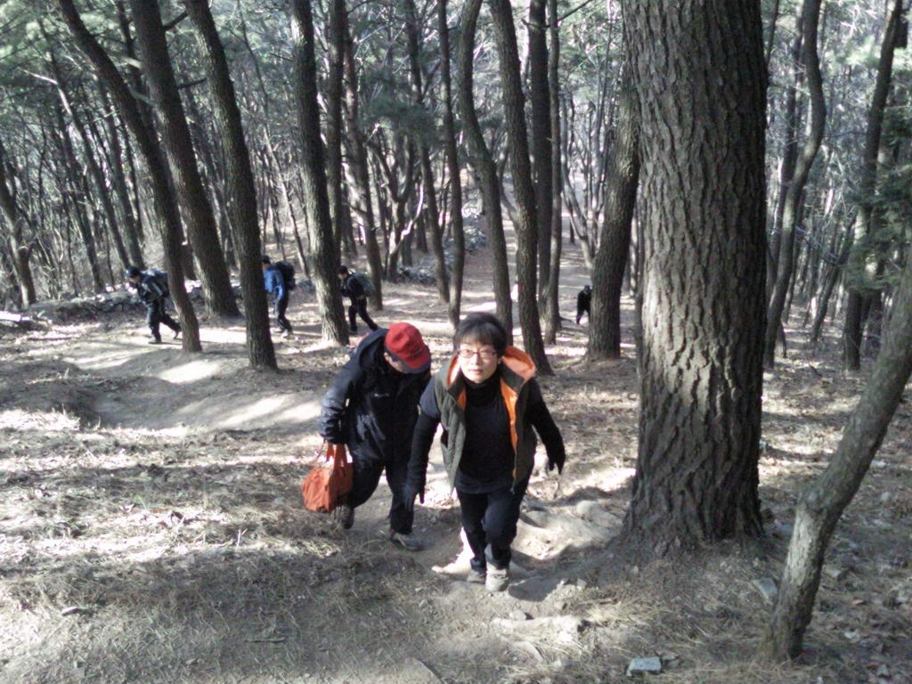 SNC00209.jpg