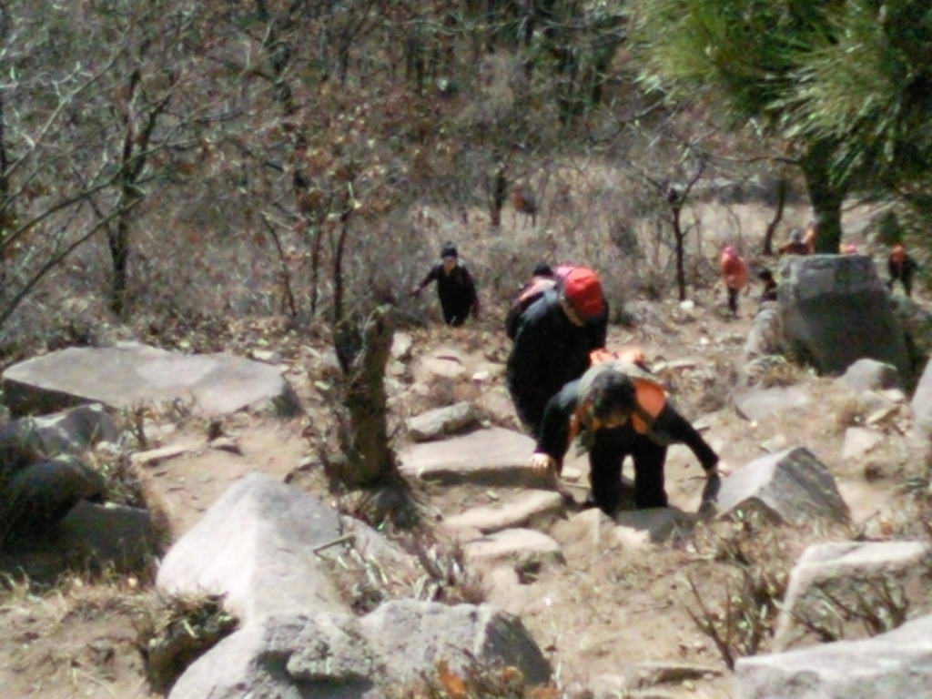 SNC00219.jpg