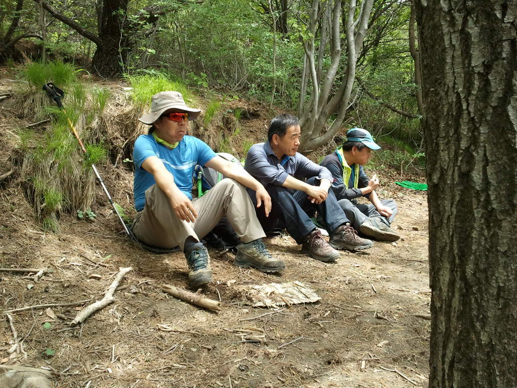 20110515_godang_017.jpg