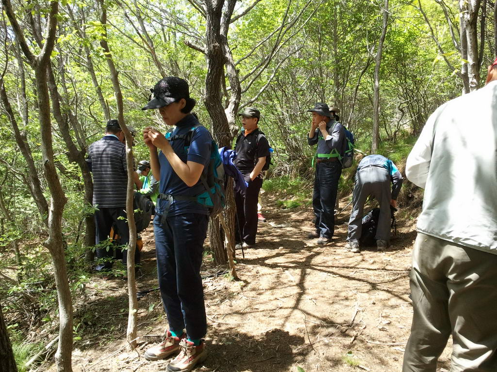 20110515_godang_024.jpg