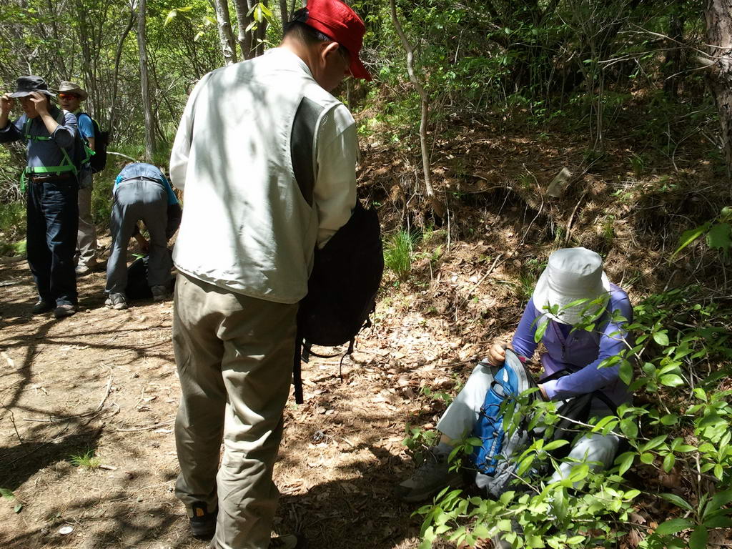 20110515_godang_025.jpg