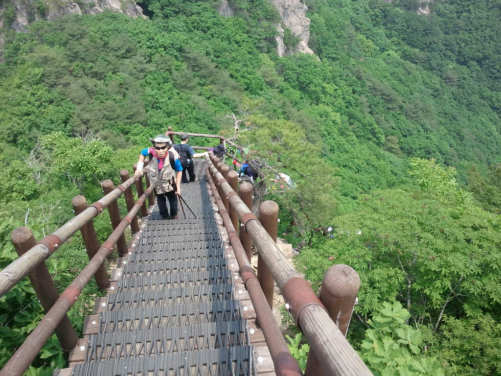 20110612_008.jpg