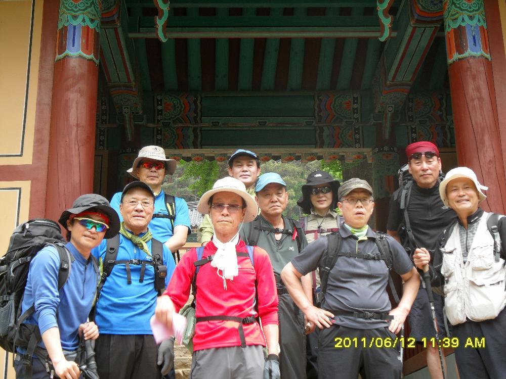 SDC15567_Resized.jpg