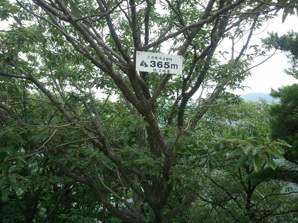 20110724_17.jpg