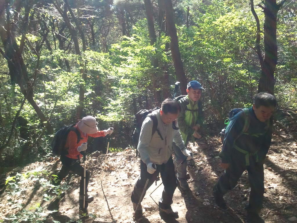 20111016_01.jpg