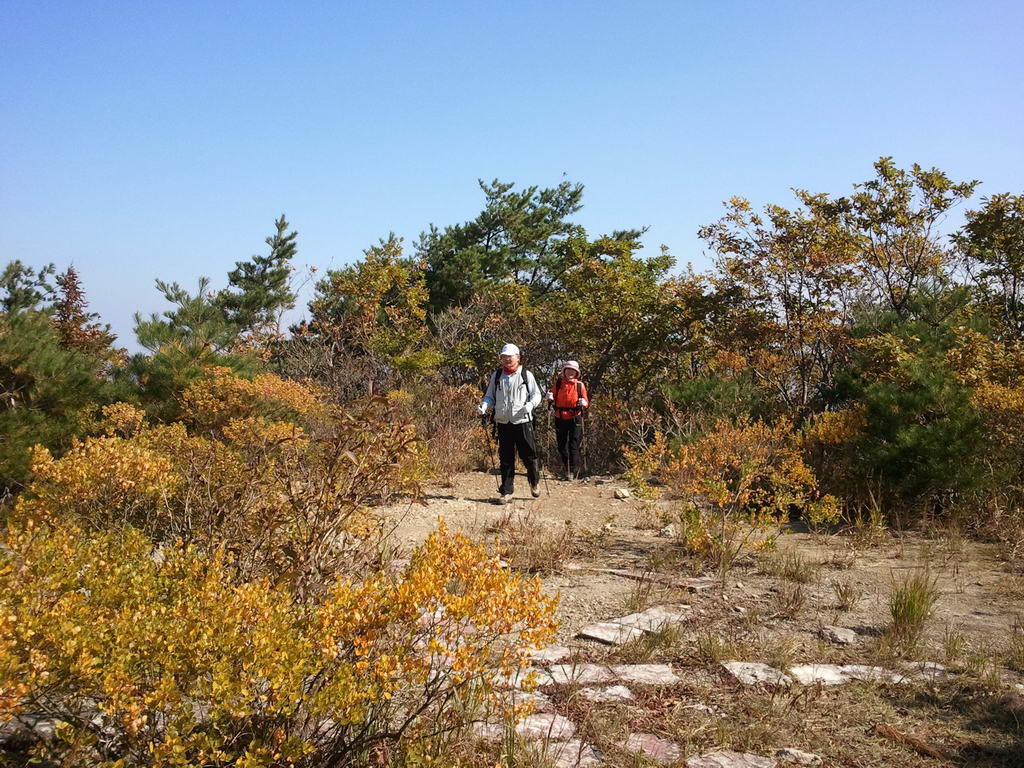 20111016_11.jpg
