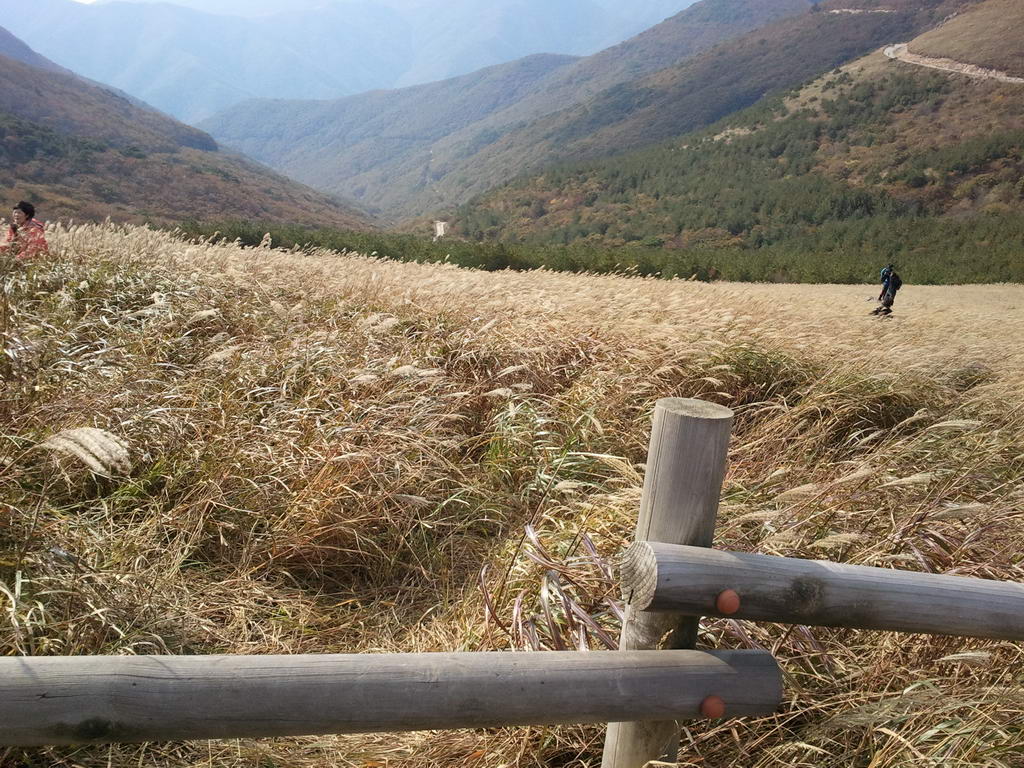20111016_22.jpg