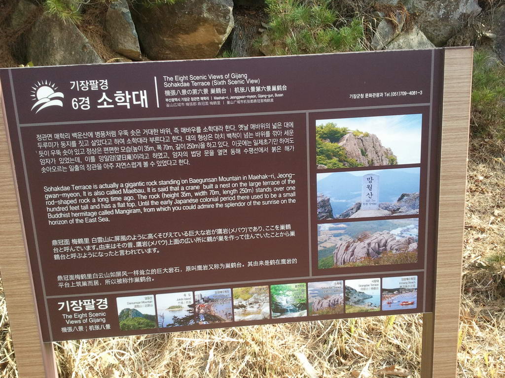 20111127_chelma_03.jpg