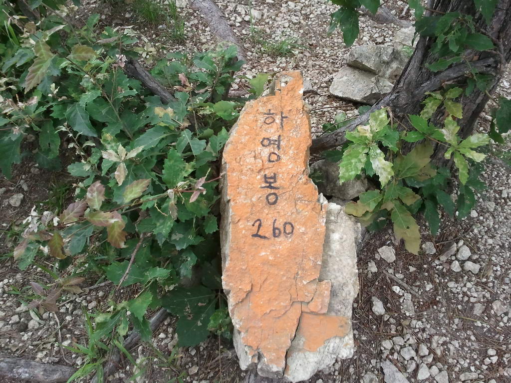 20110724_04.jpg