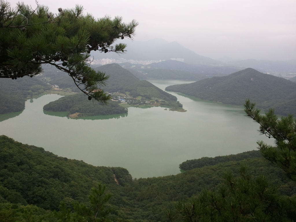 20110724_06.jpg