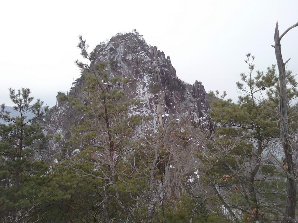 SNC00050.jpg