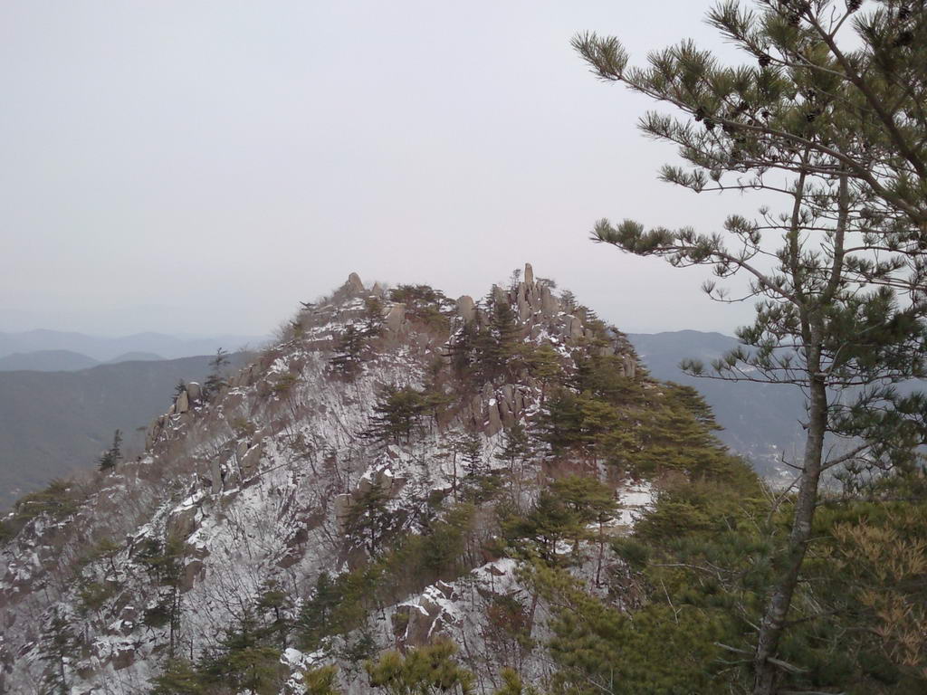 SNC00071.jpg