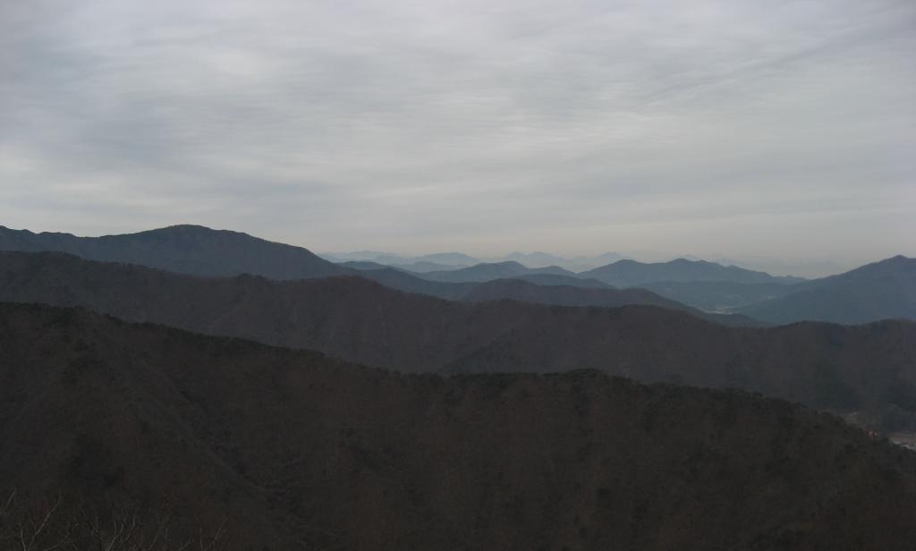 IMG_6902.jpg