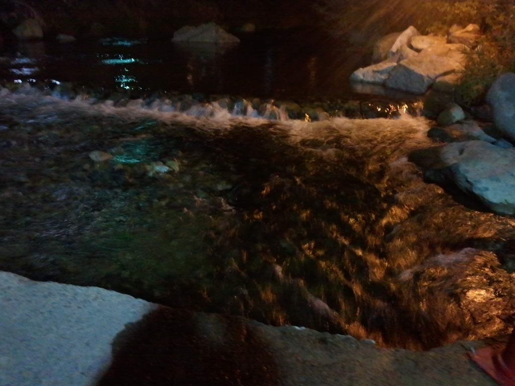 20111105_07.jpg