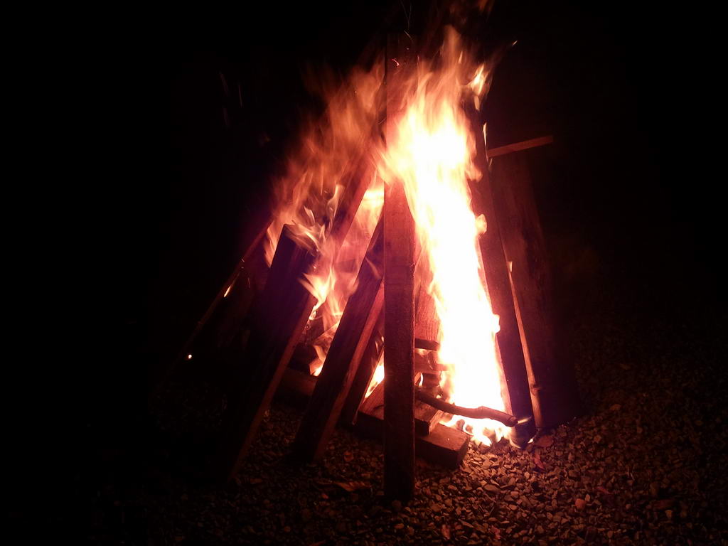 20111105_25.jpg
