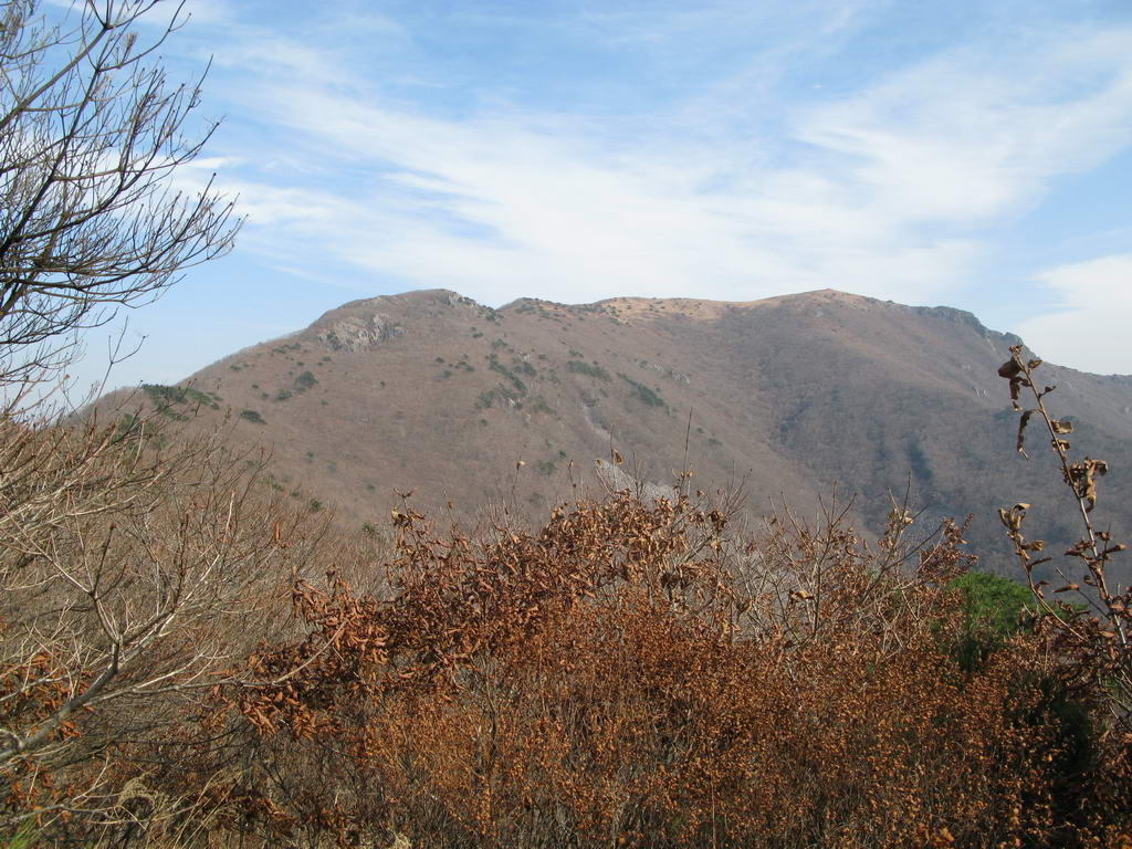 IMG_3690.jpg