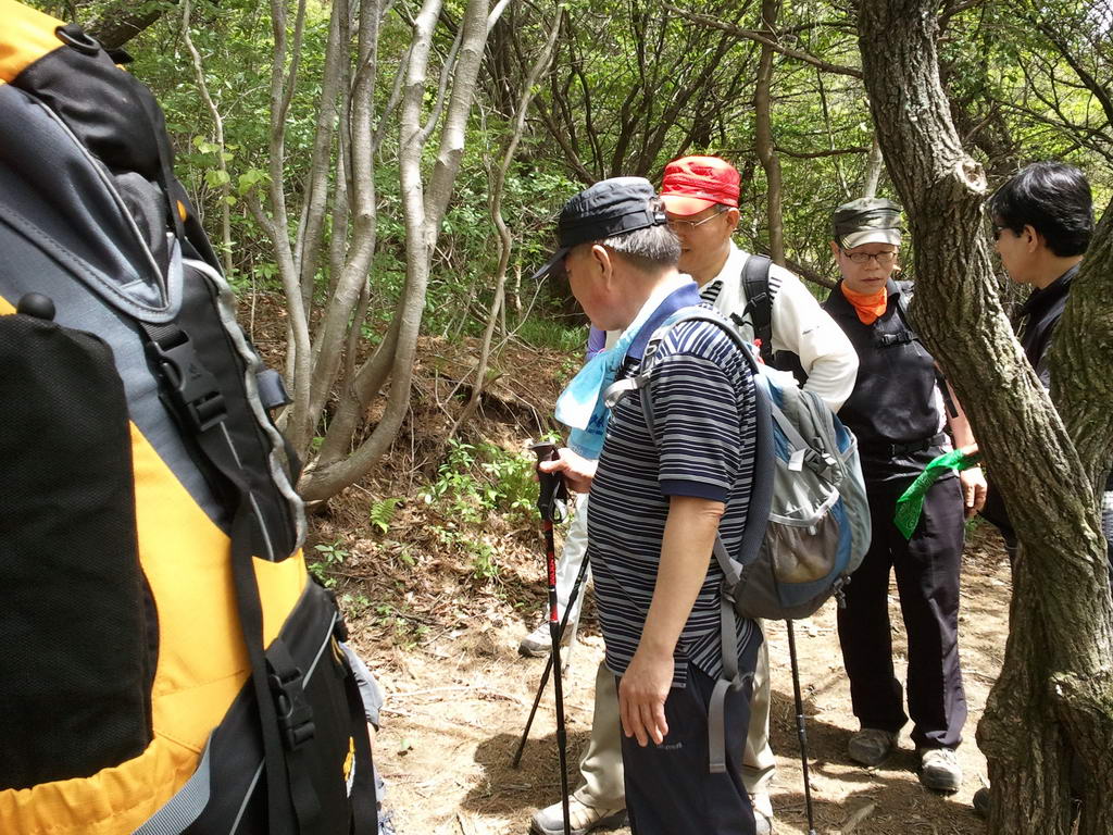 20110515_godang_018.jpg