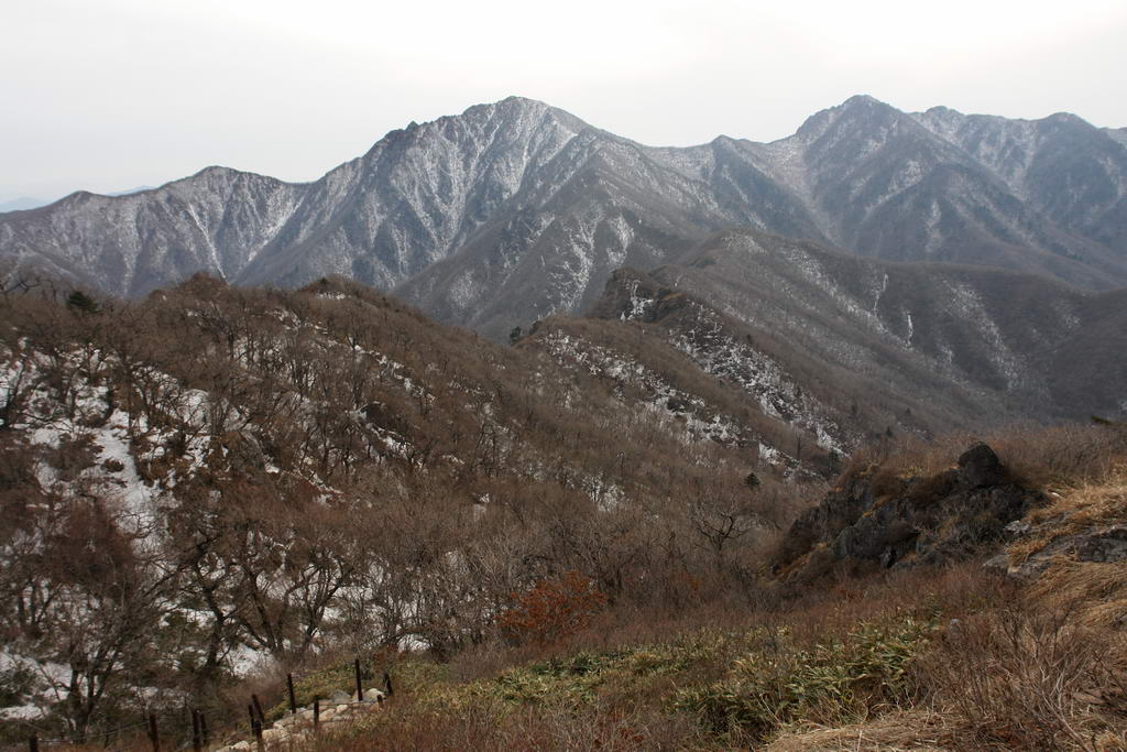 deogwoo-05.JPG